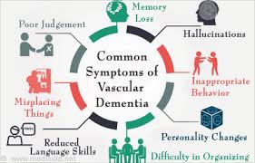 vascular dementia causes types symptoms diagnosis