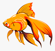 Locate or browse free animated gifs, backgrounds and more using the categories below or visit our main menu. Fish Gif Png Transparent Png Kindpng