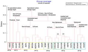 Image result for Hibiscus nigricaulis