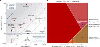 Humans, for example, also have hundreds of different cell types. The Distribution Of Cellular Turnover In The Human Body Nature Medicine