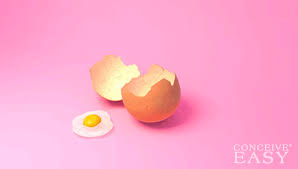 Wait for your monthly cycle to return. 8 Ways To Get Pregnant After Miscarriage Conceiveeasy Com