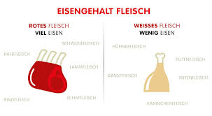 Eisenhaltige Lebensmittel Die Besten Eisenlieferanten
