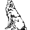 Wolf coloring pages for kids. 1