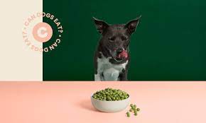 Can Dogs Eat Peas Everything You Need To Know Bechewy