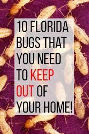 Orlando pest control professionals encounter many insects in homes and businesses. 10 Household Bugs To Keep Out Of Your Florida Home Dengarden