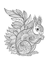 Get it as soon as tue, jan 26. Zentangle Hedgehog Coloring Pages Novocom Top
