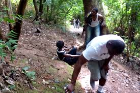 Mountain afadjato  highest mountain in ghana  подробнее. Adventure Junkies Climbing Mount Afadjato