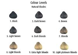 Rachel keeps it simple by toning at the level that the hair is lifted to. Hair Colouring Understanding Colour Levels Uniprix