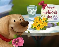 We did not find results for: Pets Mothers Day Ecards American Greetings