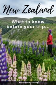 (1) total ratings 1, $25.21 new. 54 Things To Know Before Traveling In New Zealand Two Wandering Soles