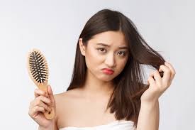 Extremely damaged hair develops cracks in the outside layer (cuticle). Premium Photo Upset Stressed Young Asian Woman Holding Damaged Dry Hair On Hands Over White Isolated Wall