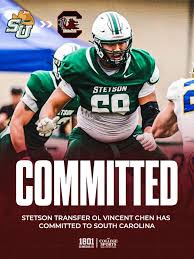 WELCOME HOME! 🤙 Stetson OL Transfer _vincechenn has COMMITTED to South Carolina! 🐔 Another BIG get for Coach Beamer! 😎 📸 | @mrflickup • • • • #spursup🤙 #usc #southcarolina #football #collegefootball