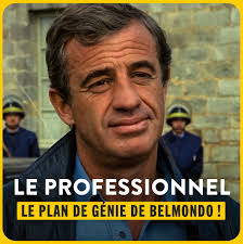 Le professionel