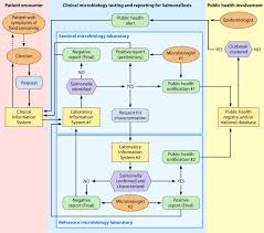 Clinical Microbiology Informatics Clinical Microbiology