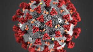 24 free coronavirus png, svg icons. Coronavirus Disease Advice And Information Niph