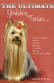 We did not find results for: The Ultimate Yorkshire Terrier Book Kindle Edition By O Grady Patricia Crafts Hobbies Home Kindle Ebooks Amazon Com