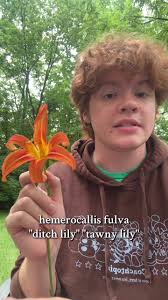 Lily Bushs Substitute Marriage Ep 1