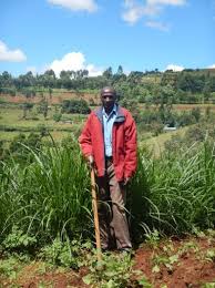 How hundreds of farmers reduced soil erosion