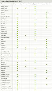 Vertical And Container Gardening Charts And Images