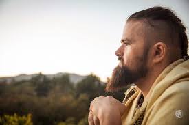 COLLINS HOLISTIC CONSULTING