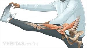 If you know your height, can you predict how big your arm span is? Understanding Hip Flexor Pain