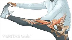 The flexor tendon system of the hand consists of the flexor muscles of the forearm, their tendinous extensions, and the specialized digital flexor sheaths. Understanding Hip Flexor Pain