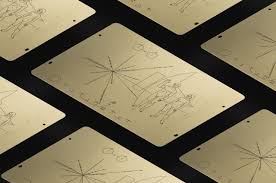 Image result for pioneer plaque