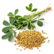 Image result for Trigonella