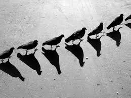 Shadow is a supercharged pc on all your for @_adamspeight, shadow stands out amongst other rivals by simply offering an entire gaming pc up. How To Overcome Sciophobia Or Sciaphobia Which Is The Fear Of Shadows Hypnosis On Demand