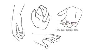 Hand Reaching Out Reference Pose Human Anatomy Fundamentals How To Draw Hands human anatomy fundamentals how to draw