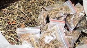 Image result for à¤—à¤¾à¤‚à¤œà¤¾