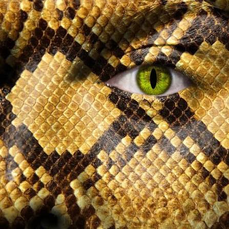 Snake Eye Art Print by Semmick Photo - Fine Art America