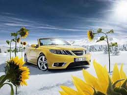 Aan beide portierdorpels vertonen de rubbers die tegen de portieren aanvallen wat scheuren en hapjes. Saab 9 3 Cabrio Mit Neuer Aussenfarbe Saffran Gelb Auto Motor At