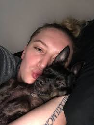 Lost Cat in Irving, Texas, with Purple Flea Collar and Scar