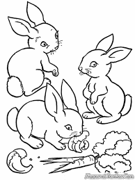 We did not find results for: 100 Gambar Kelinci Foto Kartun Hitam Putih Sketsa