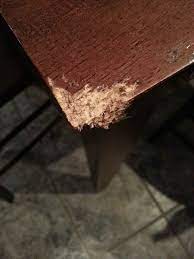 Link On How To Repair A Broken Or Chewed Table Corner Http Www Doityourself Com Stry Solid Wood Table To Furniture Fix Diy Furniture Update Furniture Repair