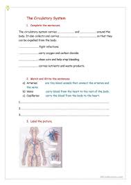 Circulatory System Worksheet Answers Circulatory System English Esl Worksheets For Distance In 2020 Circulatory System Math Answers Skeletal System Worksheet