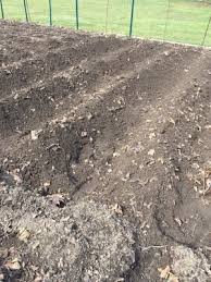 Maybe you would like to learn more about one of these? Hilling Plants Or Mounding Garden Plants By The Gardener S Network