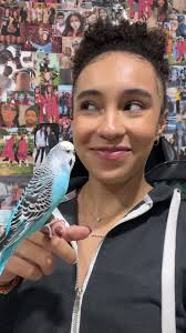 Oh Mister Todd Im So Happy Trend