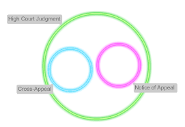 Malaysia's highest court has rejected a challenge to the ban on christians using the word allah to refer to god, in a highly divisive legal case in the the catholic church's newspaper, the herald, appealed against the initial ban and in 2009 a court ruled in its favour, but that judgement that was. To Appeal Or Cross Appeal That Is The Question Gavinjayanandjayapal