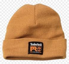 Hat Meme And Png Image Beanie Transparent Png 750x750 222489 Pngfind