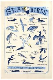 Tea Towels Sea Birds Bird Illustration Coastal Birds