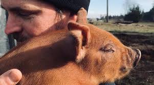 Cat And Crow Farm (Courtenay, British Columbia): Hours, Address