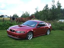 Ford Mustang 1999 Ford Mustang Gt Coupe Pictures 1999 Ford Mustang 2 Dr Gt Coup Mustang Mustang Cobra Ford Mustang