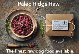 As a pet owner, you can opt for homemade dog food kidney disease. Kidney Failure In Dogs Part 3 The Natural Solution Dogsfirstireland Raw Dog Food