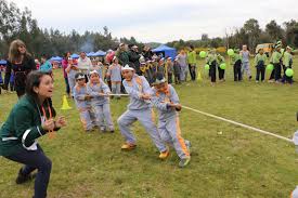 Los juegos recreativos son actividades de variado carácter que lleva a cabo un individuo o un grupo de personas con el objetivo de divertirse, entretenerse y disfrutar de la actividad misma. Juegos Recreativos Jovenes Juegos Recreativos Fisicos Para Jovenes Juegos