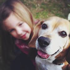 TOP 10 BEST Spay Neuter near Valencia, Santa Clarita, CA