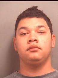 Eric Rawdon Allegedly Stole Dad's Police Cruiser, Led Florida Cops On  High-Speed Chase