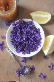 Pin On Herbal Healing Natural Health