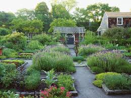Pin On Gardening